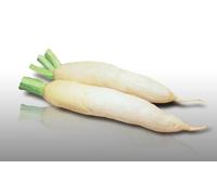 150 Graines À Semer - Le Grenier D'abondance - Navet Demi-Long De Croissy - Rapum