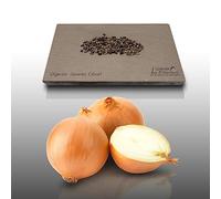 150 graines à semer - Le Grenier d'Abondance - OIGNON Jaune Cénol - Allium cepa