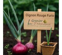 150 graines à semer - Le Grenier d'Abondance - oignon rouge Furio - Allium cepa