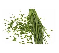 150 graines Aromatiques - CIBOULETTE - Allium schoenoprasum - Goût subtil