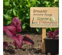 150 graines Bio à semer - Le Grenier d'Abondance - Epinard Arroche Rouge - Certifié AB - Atriplex Hortensis