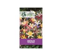 150 Graines d'Ancolie Mc Kana Mixte - Longues Fleurs Bicolores - Idéales Massifs & Jardin - Facile à cultiver