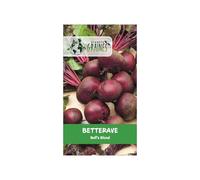 150 graines de betterave bull's blood (beta vulgaris)