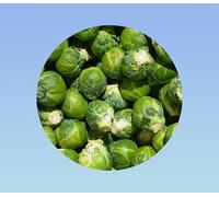 150 graines de chou de bruxelles sanda - sucré et noiseté - Planète graines