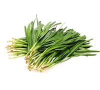 150 Graines de Ciboule de Chine - plante aromatique - légumes potager- semences paysannes reproductibles - SemiSauvage