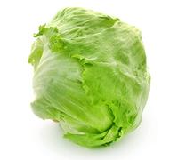 150 Graines de Laitue Iceberg - salade potagère - semences paysannes