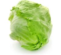 150 Graines de Laitue Iceberg - salade potagère - semences paysannes reproductibles - SemiSauvage