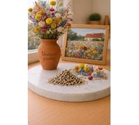 150 Graines de Mélange de fleurs séchées décoratives - 21 espèces différentes - Collection naturelle pour décoration florale durable - Fleur Jardin - 464