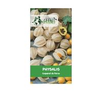 150 graines de Physalis Peruviana - coqueret du perou
