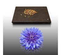 150 graines Fleurs à semer - Le Grenier d'Abondance - CENTAUREE Barbeau - Centaurea