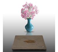 150 Graines Fleurs À Semer - Le Grenier D'abondance - Gypsophile Elégant Rose - Gypsophila