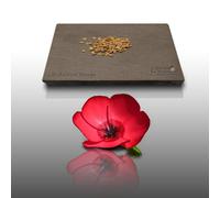 150 Graines Fleurs À Semer - Le Grenier D'abondance - Lin Annuel Rouge À Grande Fleur - Linum Grandiflorum