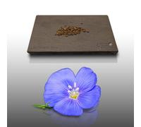 150 graines Fleurs à semer - Le Grenier d'Abondance - LIN Vivace bleu - Linum Perenne