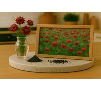 150 Graines Nigelle de Damas - ROUGE - Love-in-a-Mist Red Persian Jewels - Nigella damascena - Fleur Jardin - 421