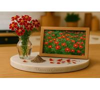 150 Graines Oeillet D'Inde Nain RED GEM - Tagetes tenuifolia ‘Signet Marigold Red Gem - Fleur Jardin - 412