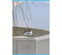 150 pages cahier quadrillé (15,24x22,86cm)(6x9po.) la mouette et..