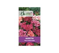 1500 graines de godetia à fleurs doubles variées (clarkia amoena)