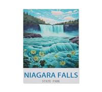 1500 Piece Jigsaw Puzzle for Adults，Niagara Falls State Park，Paper Puzzle - for Adults Teens Educational Toys Gifts（57x87cm）-EE80