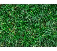 1500 Pièces Jigsaw Puzzle - Idéal pour Un Cadeau - Herbe Gros Plan Verte 87x57cm