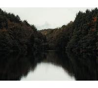 1500 Pièces Jigsaw Puzzle - Idéal pour Un Cadeau - Lac Arbres Rivage 87x57cm