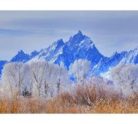 1500 Pièces Jigsaw Puzzle - Idéal pour Un Cadeau - Parc National de Grand Teton Wyoming 87x57cm
