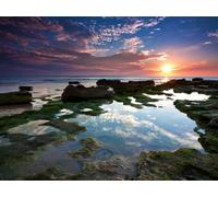 1500 Pièces Jigsaw Puzzle - Idéal pour Un Cadeau - Reeves déclin Soleil 87x57cm
