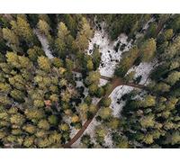 1500 Pièces Puzzle,Puzzle pour Adultes,Puzzle Impossible - forêts chemins Vue aérienne 87x57cm