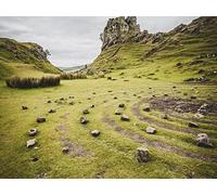 1500 Pièces Puzzle,Puzzle pour Adultes,Puzzle Impossible - Grass Rock Travel 87x57cm