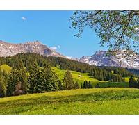 1500 Pièces Puzzle,Puzzle pour Adultes,Puzzle Impossible - Ligne Asphalte Route 87x57cm