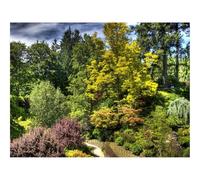 1500 Pièces Puzzles Classiques pour Adultes et Enfants-Arbres,buissons,Vert,Brillant 87x57cm