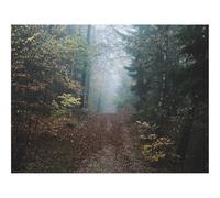 1500 Pièces Puzzles Classiques pour Adultes et Enfants-forêts,Brouillard,Chemin 87x57cm