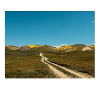 1500 Pièces Puzzles pour Adultes Enfants-Champ,collines,Chemin 87x57cm