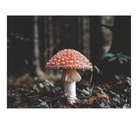 1500 Pièces Puzzles pour Adultes Enfants-Mouche,amanite,Champignon,Chute 87x57cm