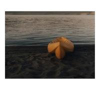 1500 Pièces Puzzles pour Adultes Enfants-Plage,Bateau,Eau,Sable,Rivage 87x57cm