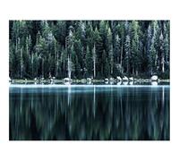 1500 Pièces Puzzles pour Adultes Jeu éducatif Challenge Toy-forêts,lac,Rivage 87x57cm