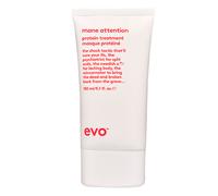 Evo Masque protéiné hydratant pour cheveux abîmés et colorés 150 ml