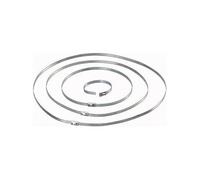 1570838 Serre-câble 201 mm 4.60 mm argent 10 pc(s)