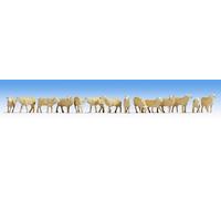 Noch Figurines Moutons 15749 – 14 pièces Échelle 1:87 pour H0 (trains et dioramas)