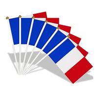 15PCS Petit Drapeau Francais Mini Drapeaux France avec Poteau Blanc de 30cm pour Décor Eurovision Jardin Bar Euro Football Coupe du Monde Fête Nationale14 x 21cm
