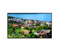 16,0" FHD 5D10V82408 5D10V82409, Compatible avec Lenovo for ThinkPad, P16s Gen 1 Écran LCD LED Matrice 16:10 1920 X 1200 30 Broches 60 Hz