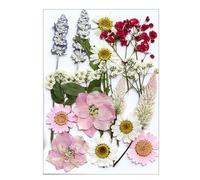 16/18/19 / 22pcs De Feuilles De Fleurs Séchées Pressées Naturelles Fixées pour Fabriquer des Signets D'artisanat en Résine Artisanat Artisanat Scrapbooking Pressé Fleur Séchée