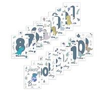 16 Cartes d'anniversaire mensuelles pour bébé - Cadeau de baby shower unisexe pour garçon ou fille, Souvenirs photo pour les célébrations de naissance et d'anniversaire (689-B)