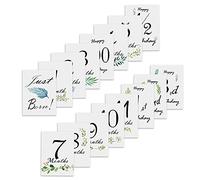 16 Cartes d'anniversaire mensuelles pour bébé - Cadeau de baby shower unisexe pour garçon ou fille, Souvenirs photo pour les célébrations de naissance et d'anniversaire (689)
