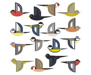 16 grands autocollants de fenêtre pour protéger contre les coups d'oiseaux | seize grands autocollants en verre motif oiseaux, double face et autocollant pour protéger contre les collisions d'oiseaux