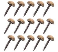 16 Pièces Capuchons Décoratifs en Laiton pour Miroir, Vis 13mm | Lot, Finition Bronze, Usage Mural et Bricolage, pour Mobilier et Plaques