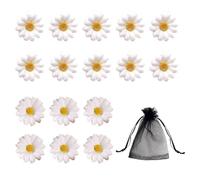 16 Pièces De Pinces À Cheveux En Forme De Marguerite Avec 1 Sac À Cordon En Maille, Pinces À Cheveux À Fleurs Blanches, Pinces À Cheveux Mignonnes Pour Filles, Pinces Crocodile