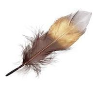 16 plumes d'oie nature 14-16cm marron or argent - othmar trading 249415 Multicolore G