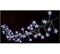 160 Multi Action White Star Cluster Micro Brights Avec Minuteur - PREMIER