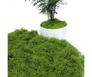 165 g de mousse pour bricolage, décoration de bricolage, mousse artificielle, champignon mouche littoral, mousse d'Islande, crèche, terrarium, mousse de bricolage, décoration, artisanat, fausse