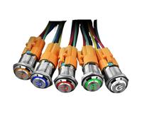 16mm power supply metal button switch high head self locking LED with light 24v220v automobile refitting NWPNLXEA(1 socket,16MM_220V)